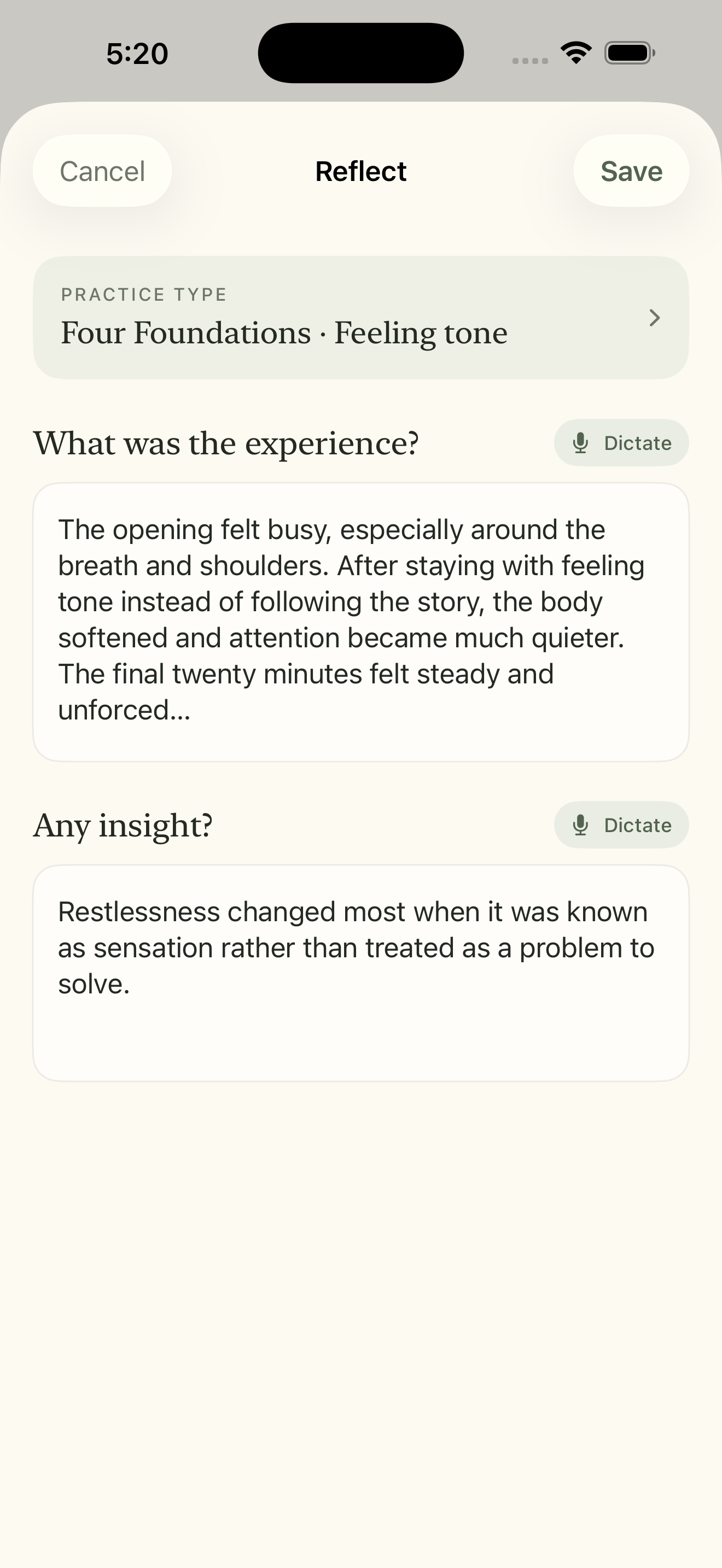 Nisala reflection screen with Experience, Insight, and Dictate controls